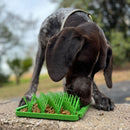 Tall Tails Dog Foraging Mat Grass