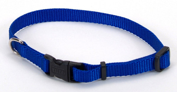 Coastal Adjustable Nylon Dog Collar with Plastic Buckle Blue