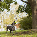 Jolly Pets Tree Tugger Bungee Green Large