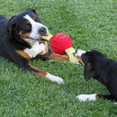 Jolly Pets Tug Assorted Medium