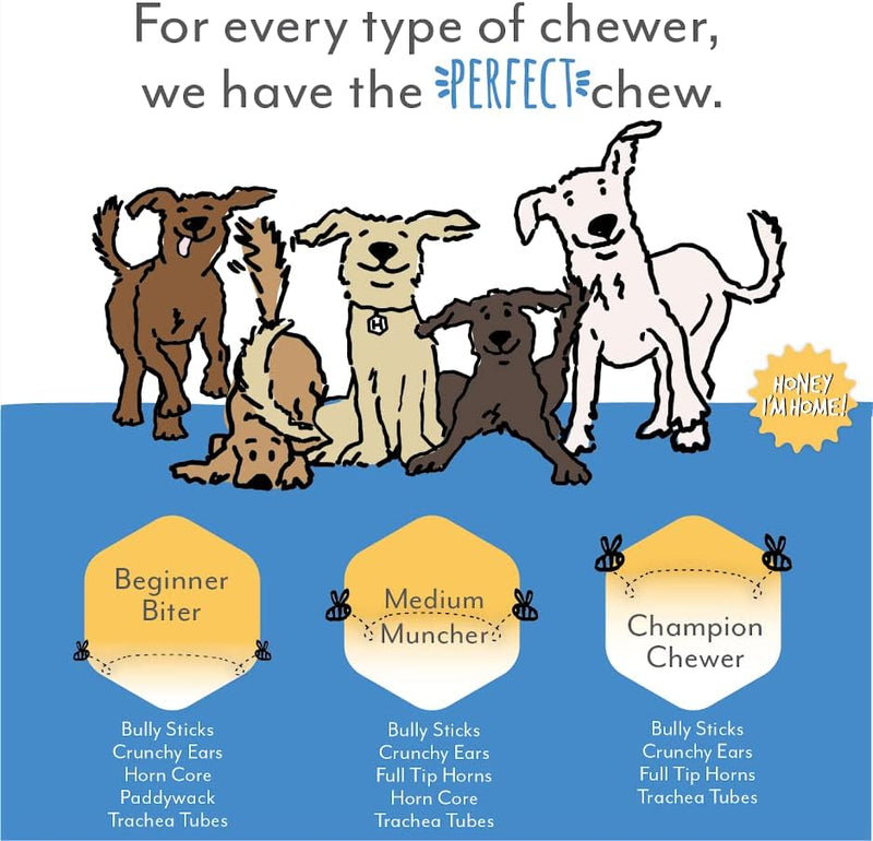 Honey Im Home Dog Buffalo Bully 6 Inches 5 Pack