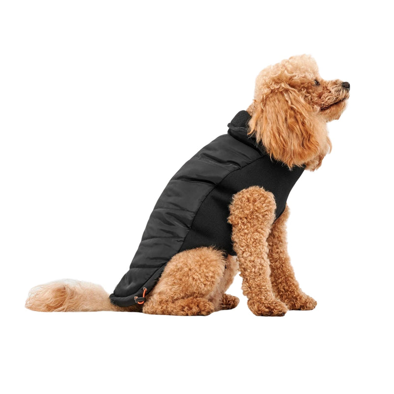 Goo-Eez Mock Neck Signature Dog Jacket Black