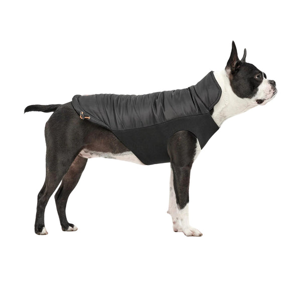 Goo-Eez Mock Neck Signature Dog Jacket Black
