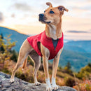 Kurgo Dog Core Sweater Heather Red