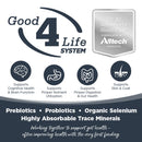 NutriSource Harvest Selects Canned Dog Food Northern Feast 13oz