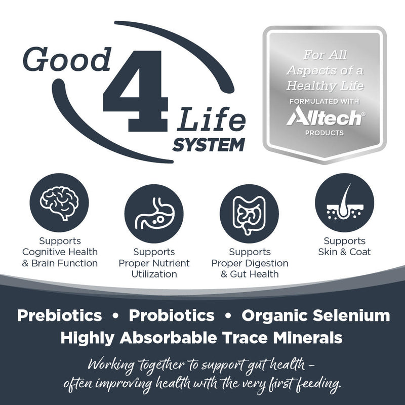 NutriSource Harvest Selects Canned Dog Food Northern Feast 13oz