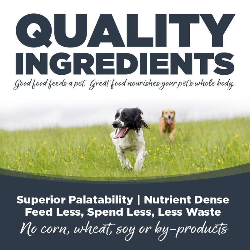 NutriSource Harvest Selects Canned Dog Food Northern Feast 13oz