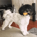 Yeti Dog Medium Chews 2.5oz Yak Milk / Cow Milk